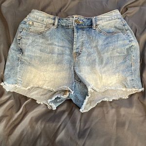 Torrid jean shorts